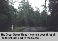[The Great Ocean Road - where it goes through the forest, not next to the Ocean]