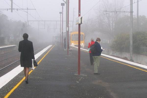 Glenhuntly station in the fog, yesterday morning