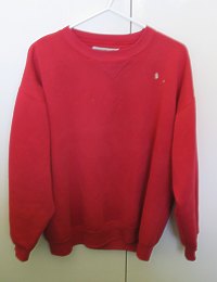 Old red jumper