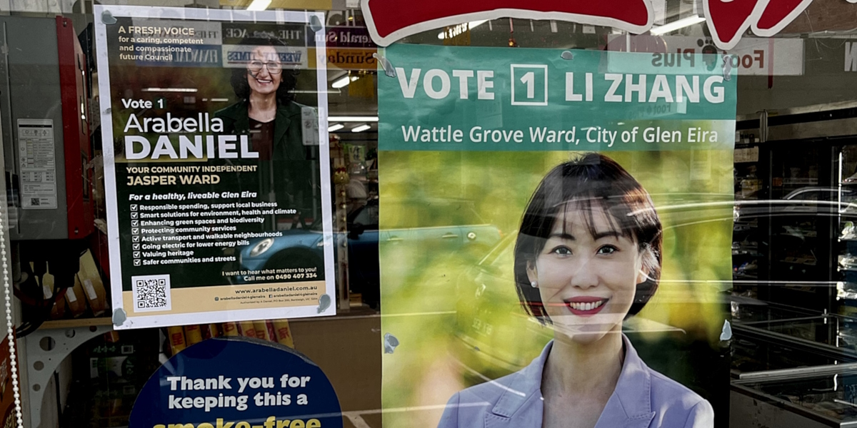 Council election posters in a shop window